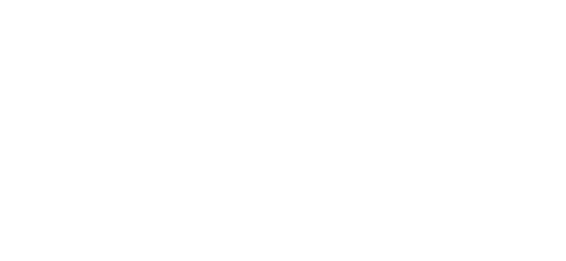 University of York Logo