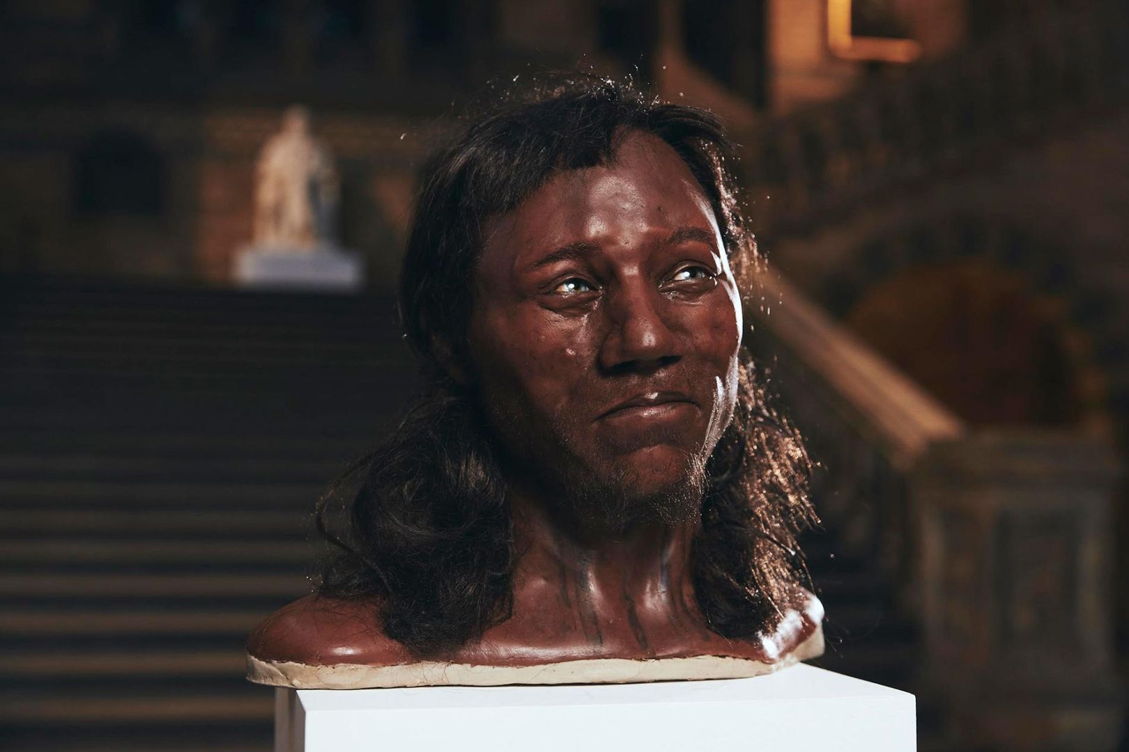Kennis brother's reconstruction of Cheddar Man