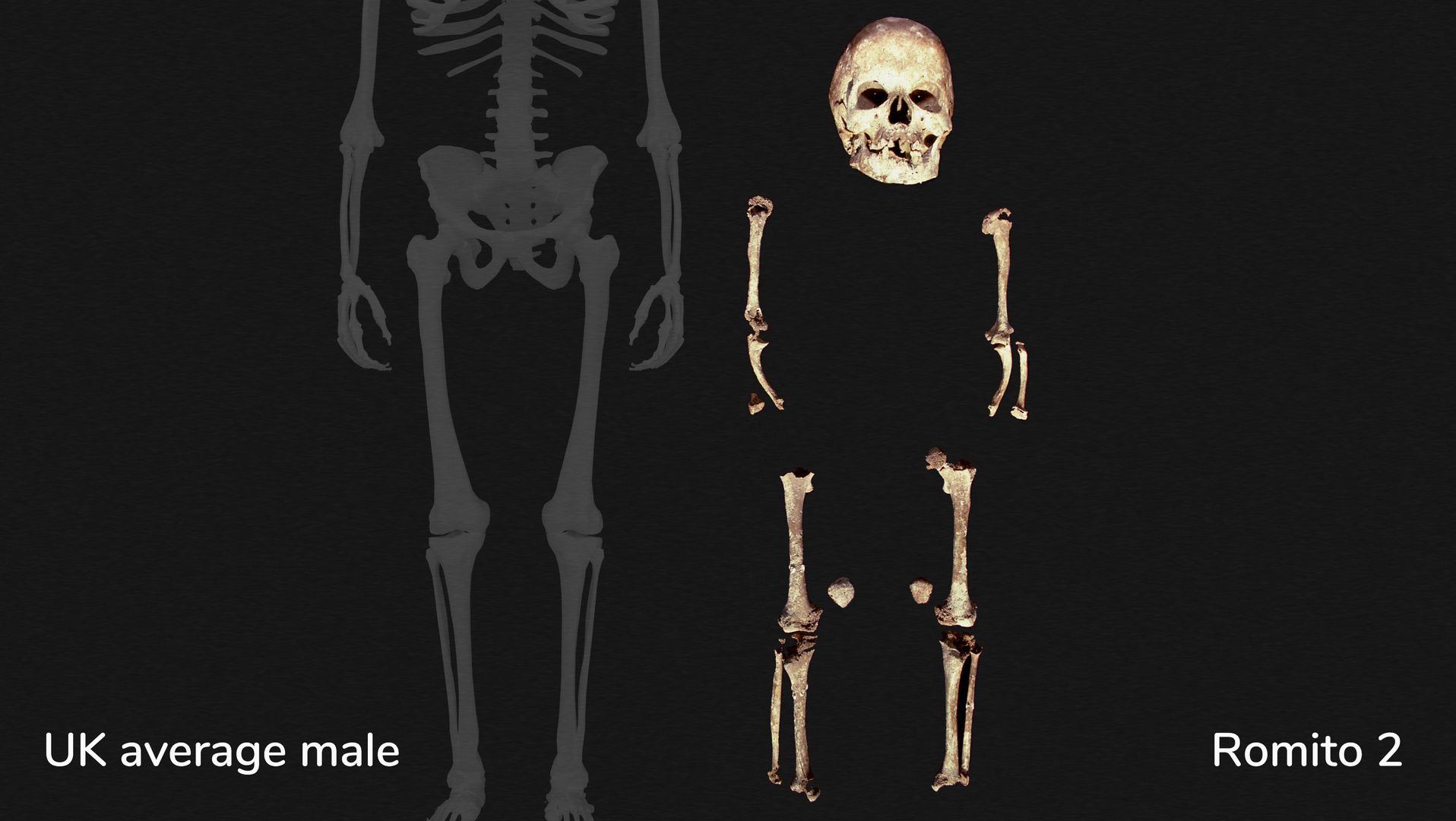 Skeleton from Romito 2