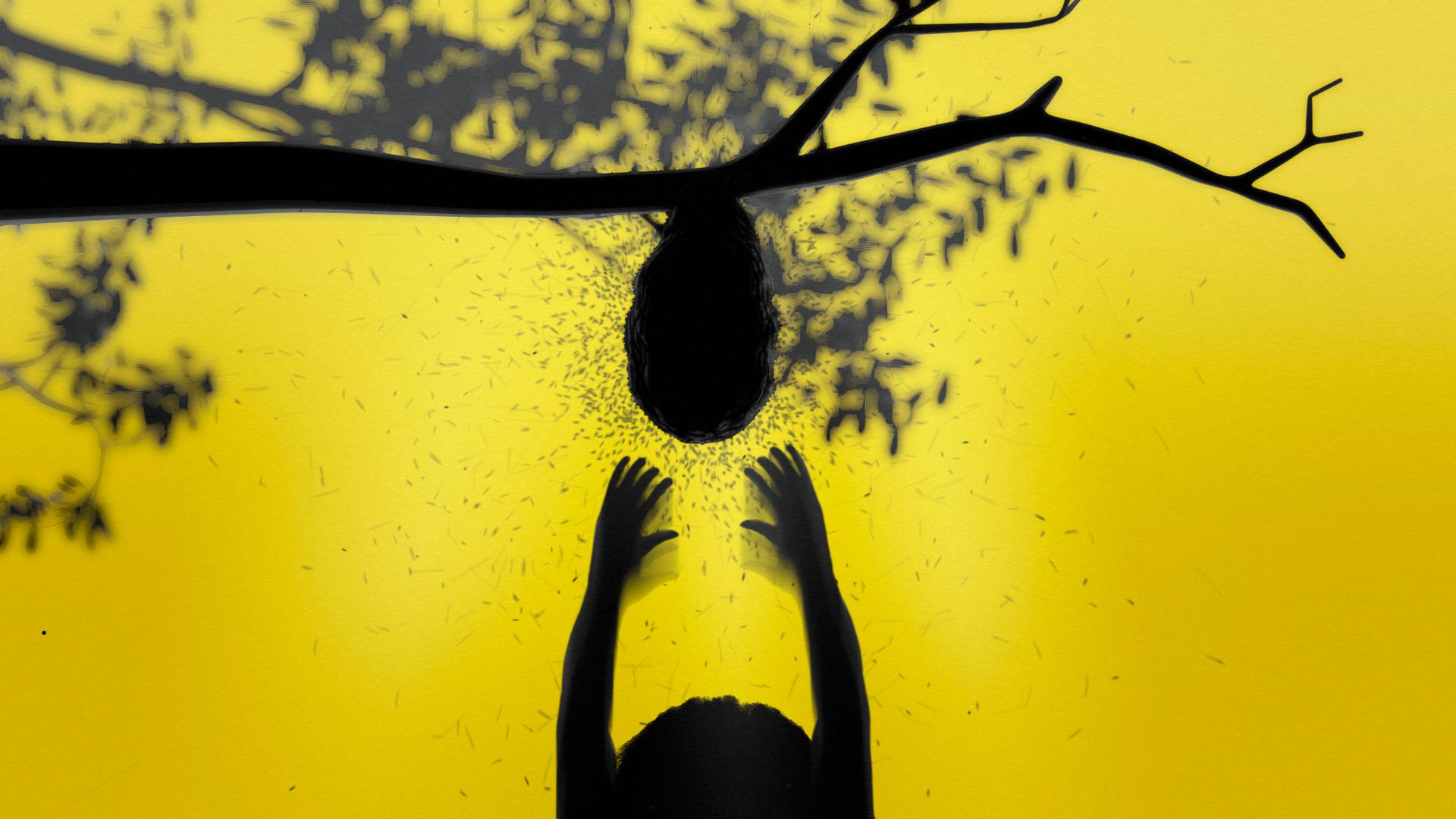 Silhouette of person reaching up to grab a buzzing bee hive from a branch