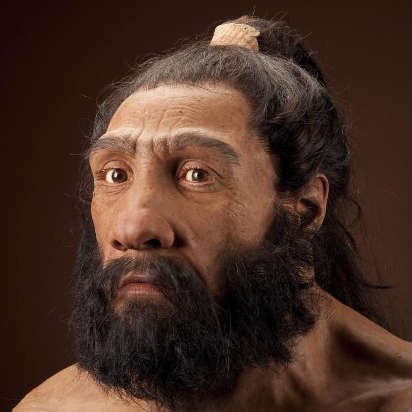 Reconstruction of the the Shanidar 1 Neadnerthal man by John Gurche